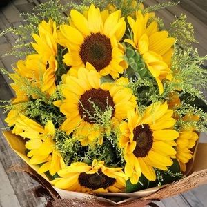 Meet your Posher, Bibi